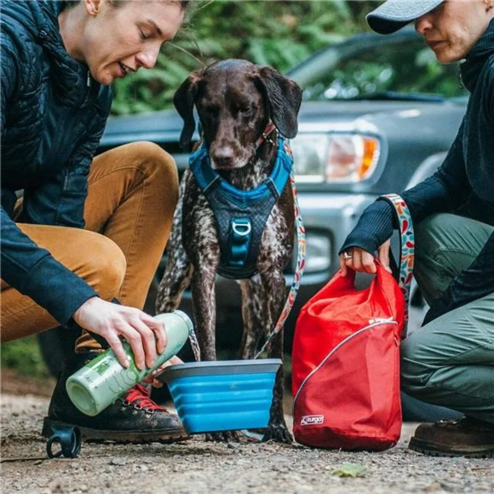 Dog Food Travel Bag | Pet Food Travel Storage Container | Dog Travel Accessories